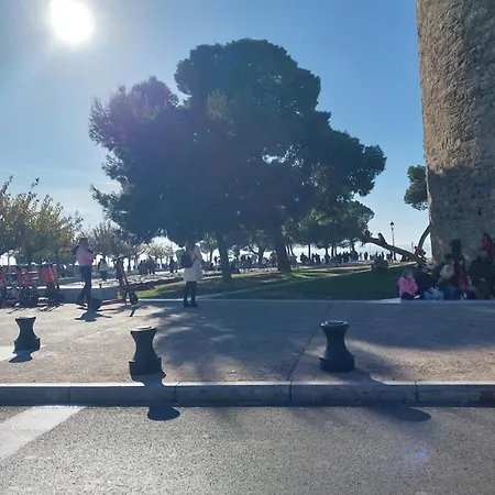 Daire Anibo & Zp35 *